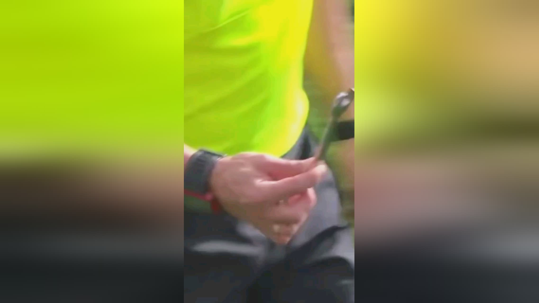 务是